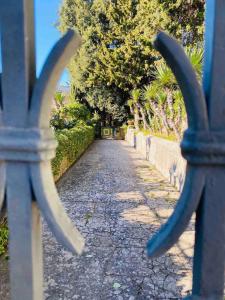 Zahrada ubytování Villa Aurora Caprese