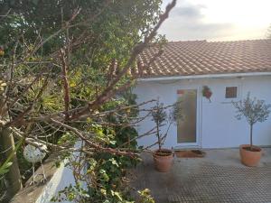 ein weißes Haus mit Topfpflanzen davor in der Unterkunft Quinta da pêra rocha in Alcobaça + 75 Fotos