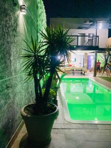 a potted plant sitting next to a swimming pool at Espaço Varanda in Sao Paulo