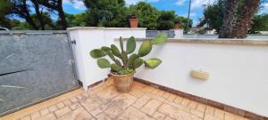 Foto dalla galleria di Villa Eleonora a San Foca