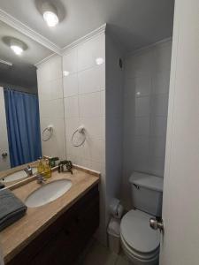 a bathroom with a sink and a toilet and a mirror at Apartment in Santiago-Catedral in Santiago +39 photos