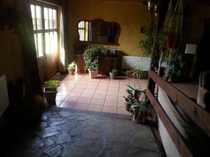 A garden outside Albergue San Pelayo