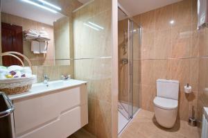 a bathroom with a shower and a toilet and a sink at Apartamentos Casa Paulino in Taramundi +30 photos