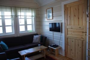 a living room with a couch and a tv at Aaroybukt Guesthouse in Årøybukta