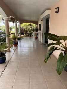 Zahrada ubytování Villa L'Écrin du Colibri Martinique + 11 fotografií