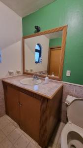 un bagno con lavandino, specchio e WC di villa pato country house a El Arenal