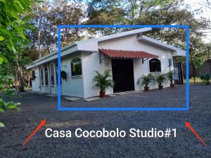 صورة لـ Casa Cocobolo Studio #1 في تاماريندو
