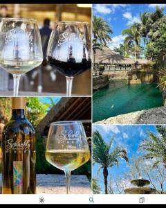 a collage of photos with a glass of wine at House Bungalow Miami Ranch, marina, Key Largo, Jacuzzi in Homestead