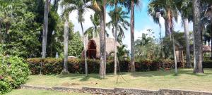 a park with palm trees and a swing at Tayrona de Lujo in Santa Marta