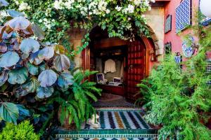 Zugang zu einem Garten mit Pflanzen und Blumen in der Unterkunft Riad Alhambra in El Harhoura