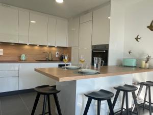 Kuchyň nebo kuchyňský kout v ubytování Cannes, appartement avec parking+terrasse, Croisette à pied! + 14 fotografií