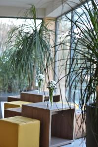 Posedenie v ubytovaní Hotel U Kozicky