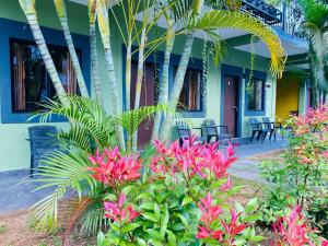 Κήπος έξω από το The Paramount Lodge