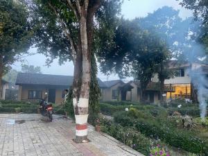 Vrt ispred objekta Siddhartha Kuti Resort