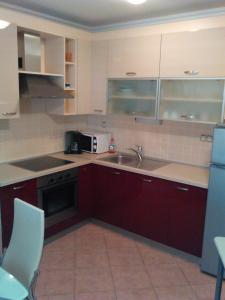 Kuchyňa alebo kuchynka v ubytovaní Apartments Villa Leona