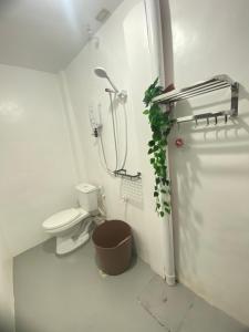 a bathroom with a toilet and a plant in it at Inn Convenience in Coron