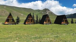 a group of tents in a field with mountains in the background at Bosogo Resort in Pervomayskoye