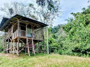 una casa sull'albero in mezzo a un campo di WOOD CABIN LODGE IN THE FOREST book here treking with us a Bukit Lawang