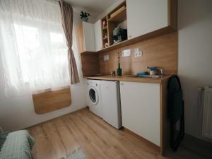 a small kitchen with a washing machine and a window at Mimosa Studio in Cluj-Napoca