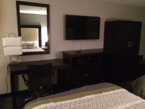 a bedroom with a bed and a desk and a mirror at Lotus Inn and Suites Nashville in Nashville