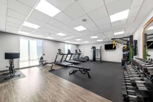 Fitness centrum a/nebo fitness zařízení v ubytování Hampton Inn & Suites Sherman