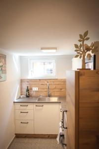 a small kitchen with a sink and a window at Gästezimmer Frühwirth in Teesdorf