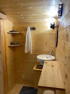 a bathroom with a sink in a wooden cabin at cabane in Saint-Vincent-de-Paul