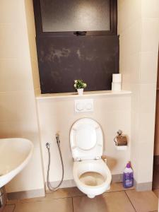 a bathroom with a toilet and a sink at F1-33-13 Sweet Home5,1BRTamarindWiFiNetflixFreeParking in Cyberjaya