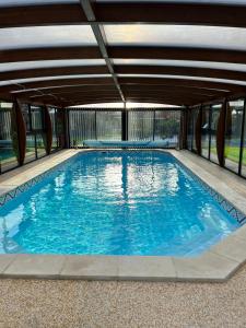 a large swimming pool with blue water at studio Avec piscine et Spa Privatif Extérieur 4 personnes in Lestrem
