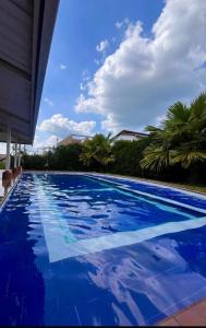 una piscina blu con palme sullo sfondo di Casa Campestre La Yuliana a Santa Helena
