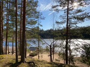 a view of a lake through the trees at Karula Stay Camper by lake Õdri - SUPs included in Rebasemõisa