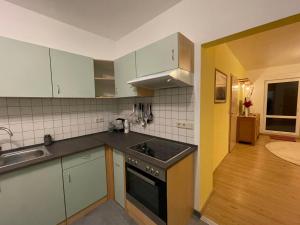 een keuken met een spoelbak en een fornuis bovenste oven bij Ferienwohnung Am Wald in Großschönau +8 foto's