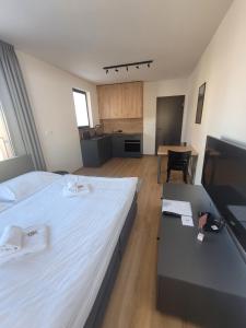 Televiisor ja/või meelelahutuskeskus majutusasutuses Apartmány Florián