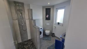 a bathroom with a shower and a toilet at Ferienwohnung Zum Pflanzgarten in Herresbach +8 photos