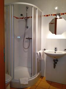 ein Bad mit einer Dusche und einem Waschbecken in der Unterkunft Apartment Am Lübbesee in Templin