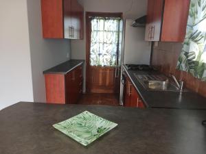 cocina con encimera, fregadero y ventana en Cherry Street, en Alberton
