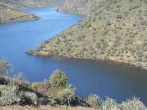 Billede fra billedgalleriet på Casa do Souto i Quinta do Souto