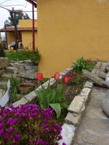 een tuin met rode tulpen en paarse bloemen naast een gebouw bij Casa da Vinha Grande in Poiares