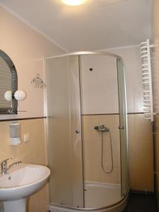 een badkamer met een douche en een wastafel bij Arnika Tatariv in Tatariv