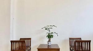a table with a potted plant sitting between two chairs at ATAP Hotel in Kota Kinabalu