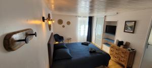 a small bedroom with a blue bed and a television at Chambre d'hôte La Brindille in Mariac