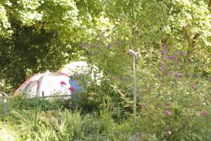 Zahrada ubytování THE TENT - Youth Only - Buchung leider nur bis 30 Jahre möglich!