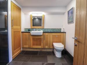 ein Badezimmer mit Toilette, Waschbecken und Spiegel in der Unterkunft Clywedog Cottage in Dolgellau + 35 Fotos