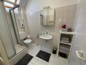 プフングシュタットにあるGemütliche Unterkunft in Pfungstadt 38 m2 Klimaanlageの洗面台、トイレ、シャワー付きのバスルーム
