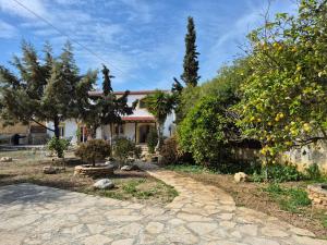 Vườn quanh Palatinos I +32 ảnh