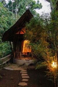 Zahrada ubytování Bamboohouse pondok salacca #salacca inn