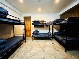 Imagen de la galería de Hotel Adinova, en Kasol