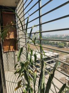 a plant on a balcony with a view of a building at Abhilasha Heights in Surat