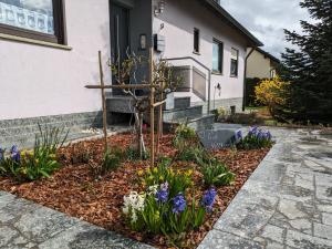 Zahrada ubytování Ferienwohnung Stollburgblick