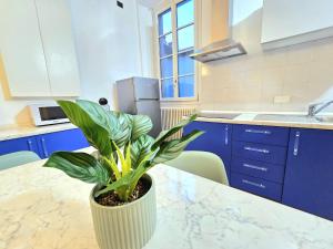 a potted plant sitting on a table in a kitchen at Russomanno Apartments 6 in Como